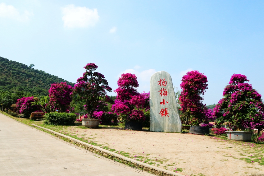 景区服务:配套设施齐全. 地址:天府新区三星镇创业路1号.