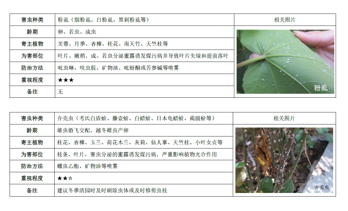 成都市园林植物有害生物预测预报第九期